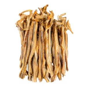 কক্সবাজার-লইট্টাশুটকি-মাঝারি
