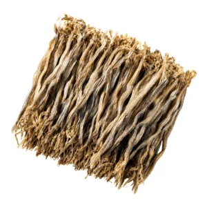 কক্সবাজার-লইট্টাশুটকি-ছোট
